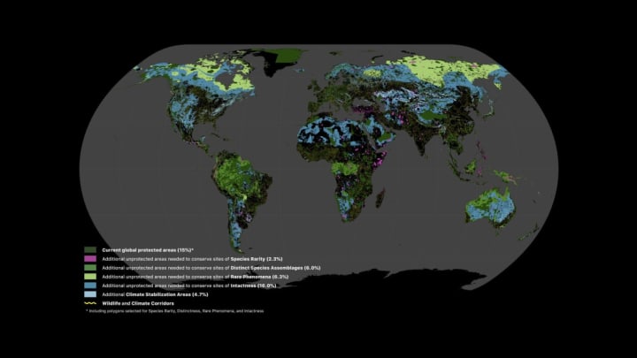 A look at the Global Safety Net's online map application.