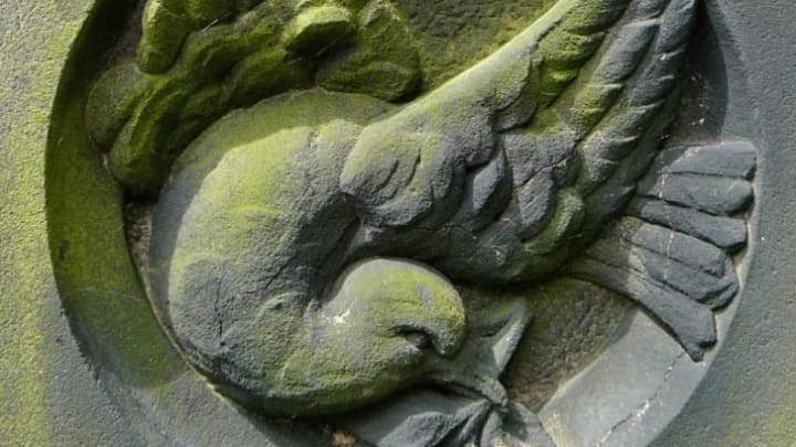 Doves appear in a variety of poses on tombstones.