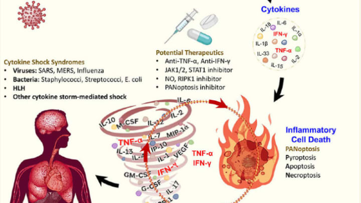 COVID-19 can prompt a "cytokine storm" that can cause severe symptoms.