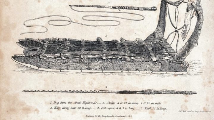 An 1819 engraving shows a sled dog (top), a traditional Greenland sledge (bottom), and implements for dogsledding and hunting.