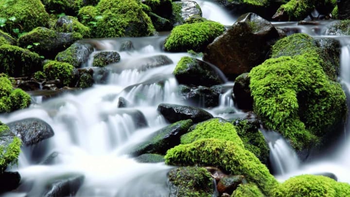 Olympic National Park in Washington.