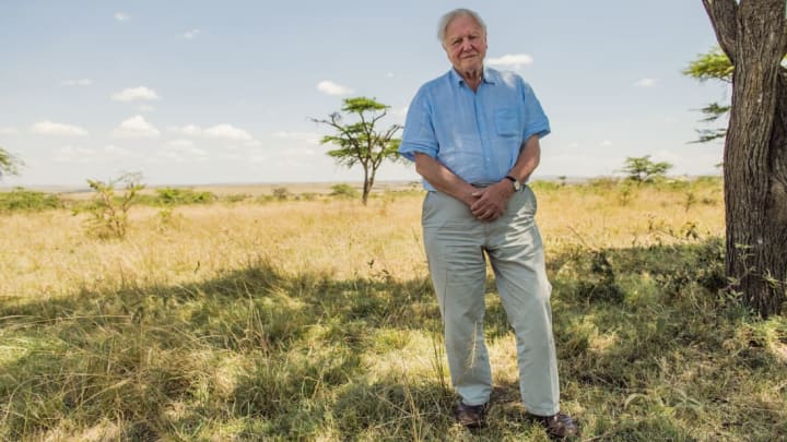 Sir David Attenborough pictured in the Maasai Mara, Kenya, in David Attenborough: A Life on Our Planet (2020).