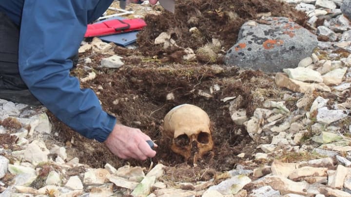 Douglas Stenton excavating the skull of a still-unknown sailor discovered near John Gregory's remains.