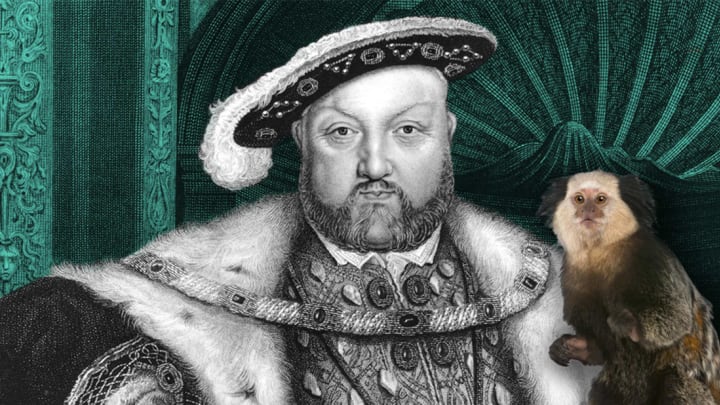 Hulton Archive/Getty Images (Henry VIII), iStock (Marmoset)