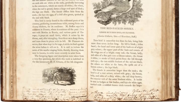 The family edition of A History of British Birds, annotated by father Patrick Brontë.