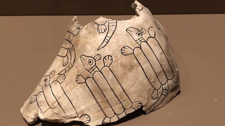 The original of this replica conch shell, engraved with pictures of armadillos and dating from 1200-1350 CE, was used in religious ceremonies at the Spiro Mounds site.