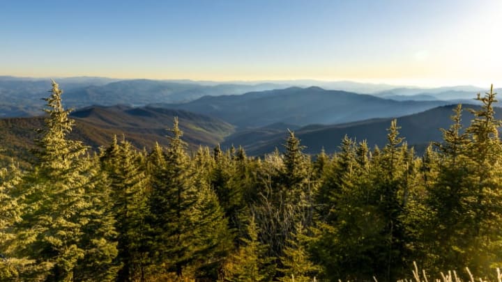 The Appalachian Mountains may not be tall, but that doesn't make them any less wondrous.
