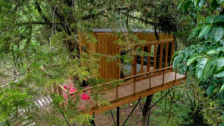 A treehouse vacation rental in Colombia.