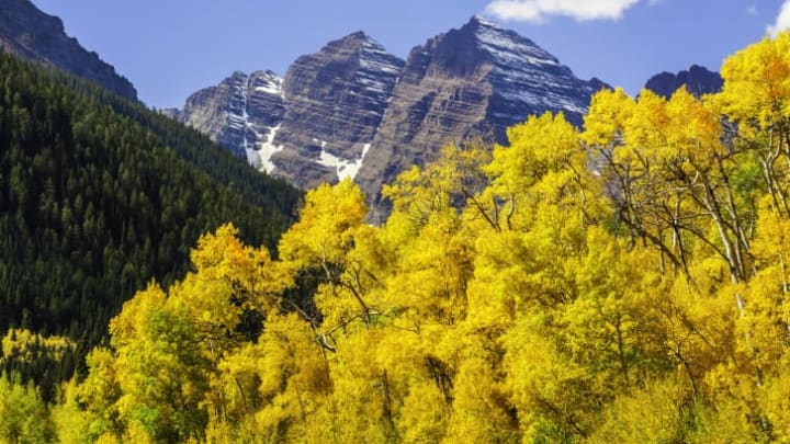 Maroon Bells and golden leaves are a great combo.