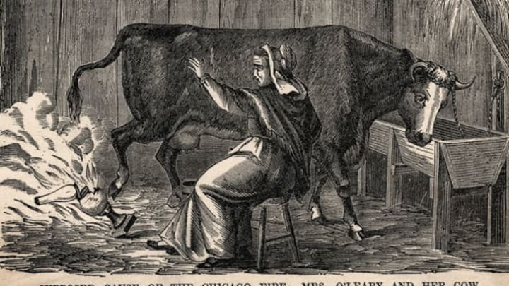 An illustration of Mrs. O'Leary and her cow for Harper's Magazine.