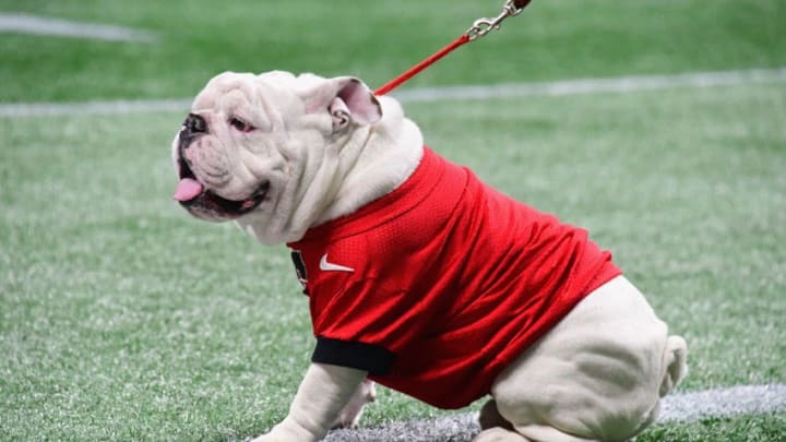 ATLANTA, GA - DECEMBER 01: Georgia Bulldogs mascot Uga is seen during the 2018 SEC Championship Game between the Georgia Bulldogs and the Alabama Crimson Tide at Mercedes-Benz Stadium on December 1, 2018 in Atlanta, Georgia. (Photo by Scott Cunningham/Getty Images)