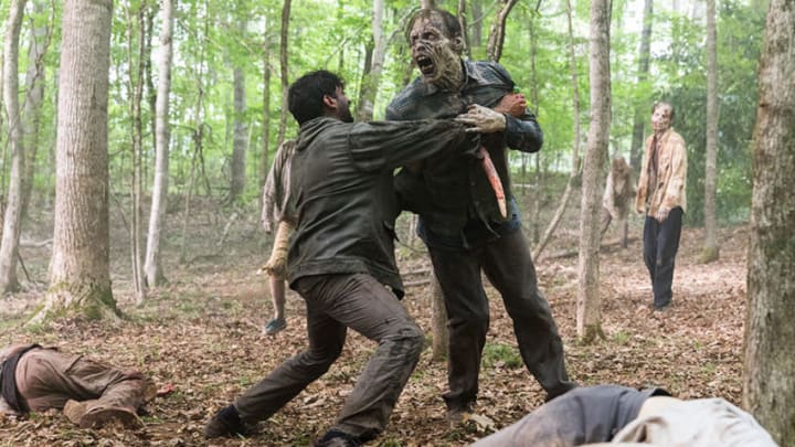 Siddiq (Avi Nash) in The Walking Dead Season 8 Episode 6Photo by Gene Page/AMC