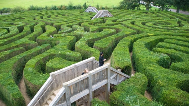 The Longleat hedge maze