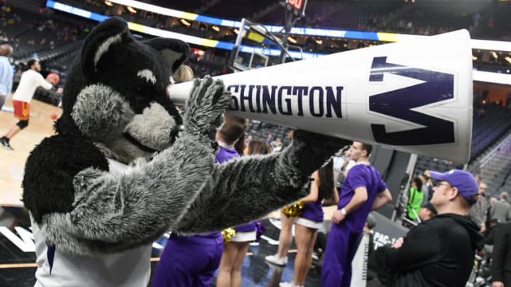 LAS VEGAS, NEVADA - MARCH 14: The Washington Huskies mascot Harry the Husky jokes around with a cheerleader's megaphone before a quarterfinal game of the Pac-12 basketball tournament against the USC Trojans at T-Mobile Arena on March 14, 2019 in Las Vegas, Nevada. The Huskies defeated the Trojans 78-75. (Photo by Ethan Miller/Getty Images)
