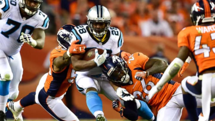 Carolina Panthers (Photo by Dustin Bradford/Getty Images)