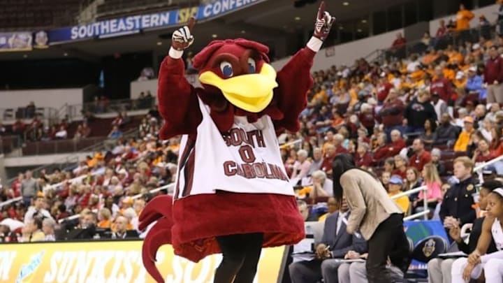 Mar 6, 2015; North Little Rock, AR, USA; South Carolina Gamecocks mascot in the second half against the Arkansas Razorbacks during the second round of the SEC Women
