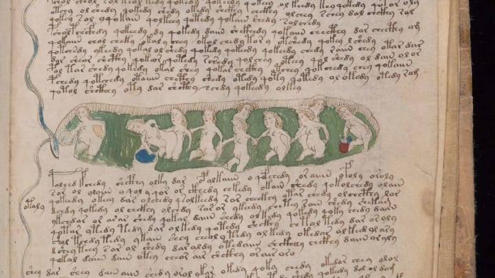 Some of the world's most brilliant minds have tried to crack the Voynich Manuscript—to no avail.