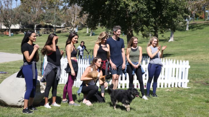 Bachelor season cheap 22 online