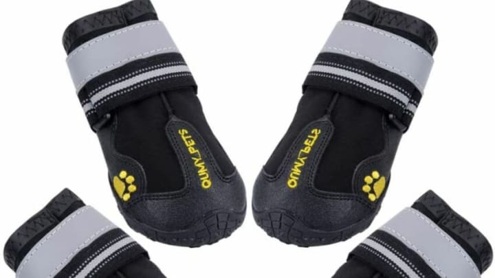 Discover QUMY's dog shoes on Amazon.
