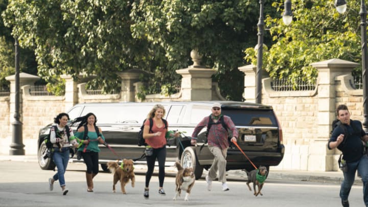 Pictured (L-R): Linh Iacona & Chance (Teammates & Pack Partners), Vania Zuniga & Jax (Teammates & Pack Partners), Chelsey Lowe & Gryffin (Teammates & Pack Partners), Chisum Joe Johnson & Kepo (Teammates & Pack Partners). The Pack - Episode 101 - "Los Angeles" Credit: Ali Goldstein/Amazon