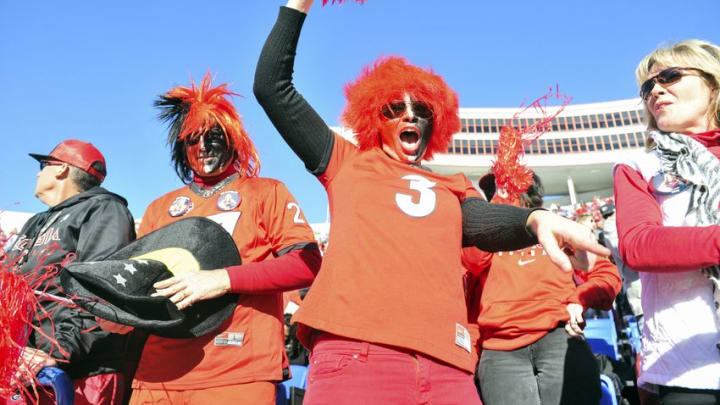 Dec 30, 2016; Memphis, TN, USA; Georgia Bulldogs fan celebrates during the second half against the TCU Horned Frogs at Liberty Bowl. Georgia Bulldogs defeated the TCU Horned Frogs 31-23. Mandatory Credit: Justin Ford-USA TODAY Sports