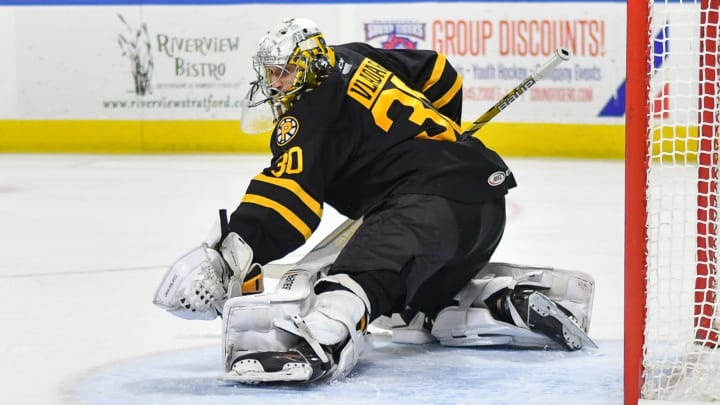 daniel vladar bruins