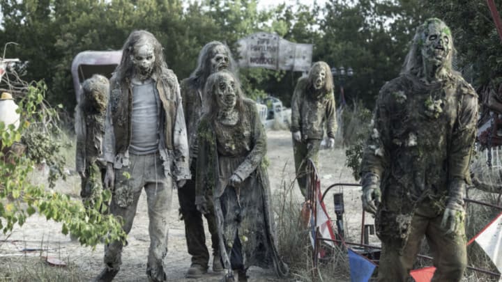- Fear the Walking Dead _ Season 8, Episode 1 - Photo Credit: Lauren "Lo" Smith/AMC