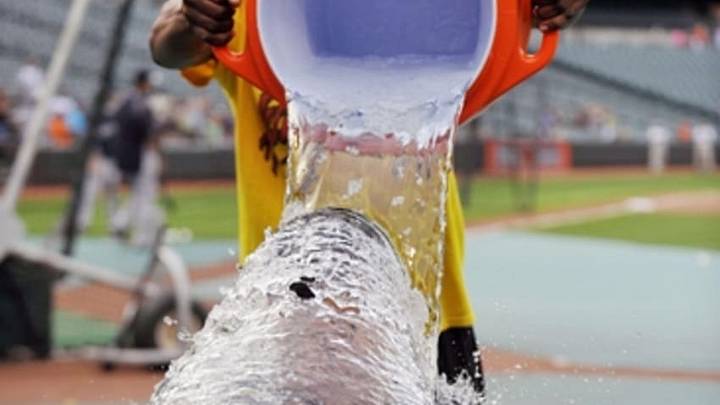 Aug 11, 2014; Baltimore, MD, USA; Baltimore Orioles outfielder (rear) pours a bucket of ice water on third baseman Manny Machado (seated) as part of the ALS ice bucket challenge prior to a game against the New York Yankees at Oriole Park at Camden Yards. Mandatory Credit: Joy R. Absalon-USA TODAY Sports Aug 11, 2014; Baltimore, MD, USA; Baltimore Orioles outfielder (rear) pours a bucket of ice water on third baseman Manny Machado (seated) as part of the ALS ice bucket challenge prior to a game against the New York Yankees at Oriole Park at Camden Yards. Mandatory Credit: Joy R. Absalon-USA TODAY Sports