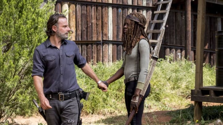 Andrew Lincoln as Rick Grimes, Danai Gurira as Michonne - The Walking Dead _ Season 8, Episode 12 - Photo Credit: Gene Page/AMC
