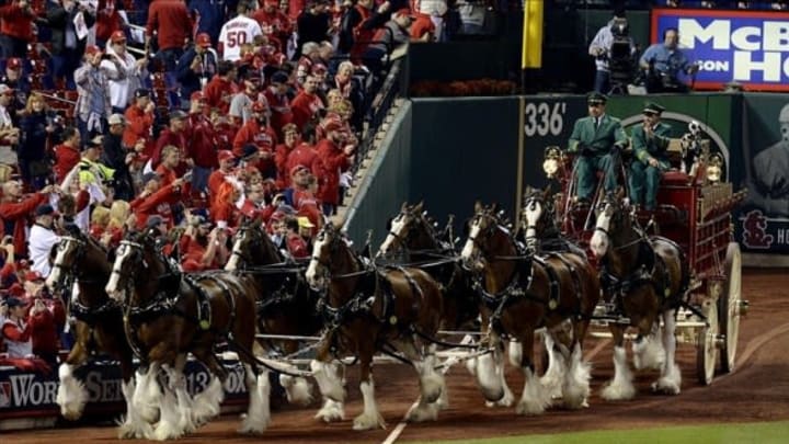 Oct 28, 2013; St. Louis, MO, USA; The Budweiser Clydesdales parade around the field before game five of the MLB baseball World Series between the St. Louis Cardinals and Boston Red Sox at Busch Stadium. Mandatory Credit: Eileen Blass-USA TODAY Sports