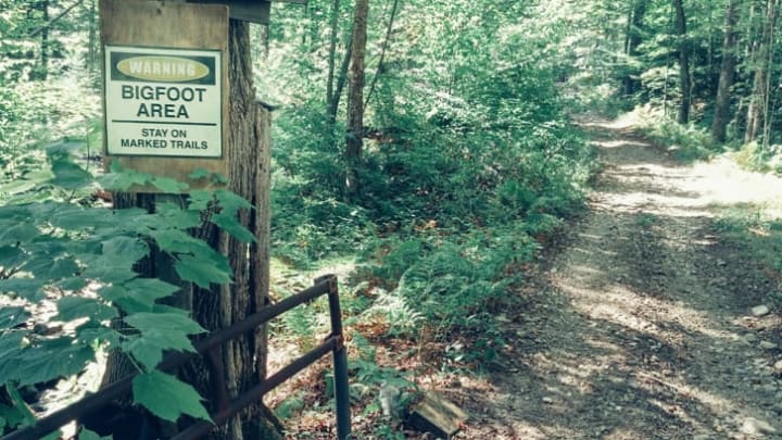 Woodsy trails marked with a