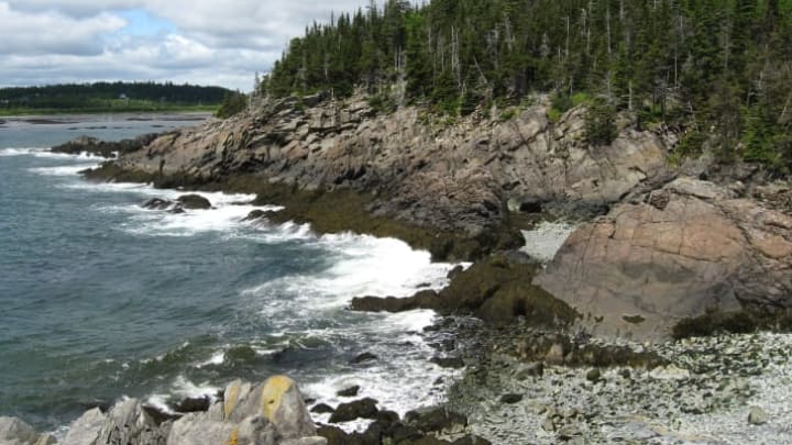 The rocky coast of Quoddy Head State Park