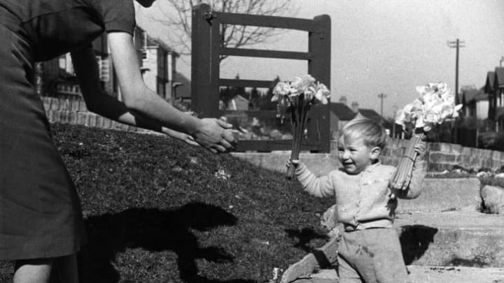A little boy gives his mother some flowers