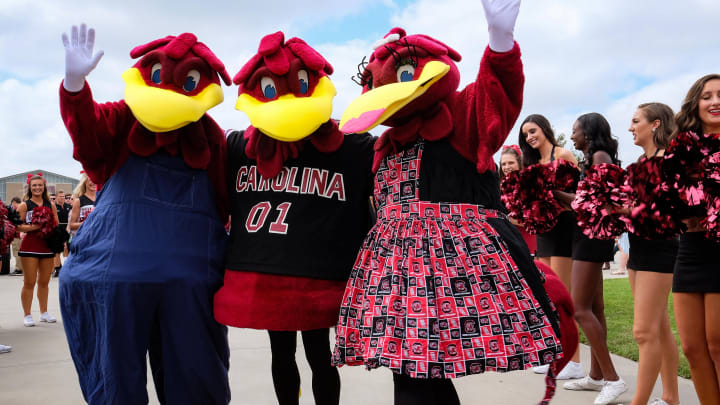 Sep 17, 2016; Columbia, SC, USA; South Carolina Gamecocks mascot "Cocky" and friends during the "Gamecock Walk" into Williams-Brice Stadium before the game against the East Carolina Pirates. Mandatory Credit: Jim Dedmon-USA TODAY Sports