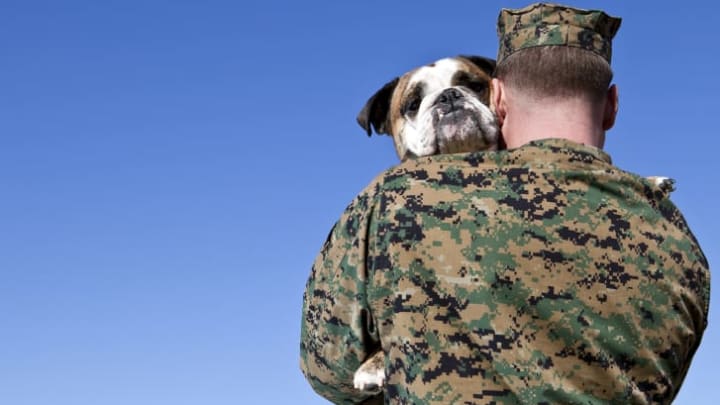 military man hugging a dog