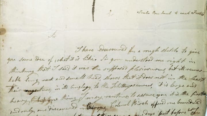 An 1823 letter by Mary Anning describing her discovery of what would be identified as a Plesiosaurus.