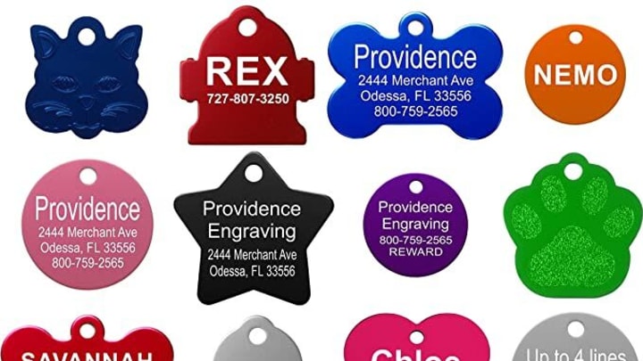 Providence Engraving Pet ID Tags – Amazon.com