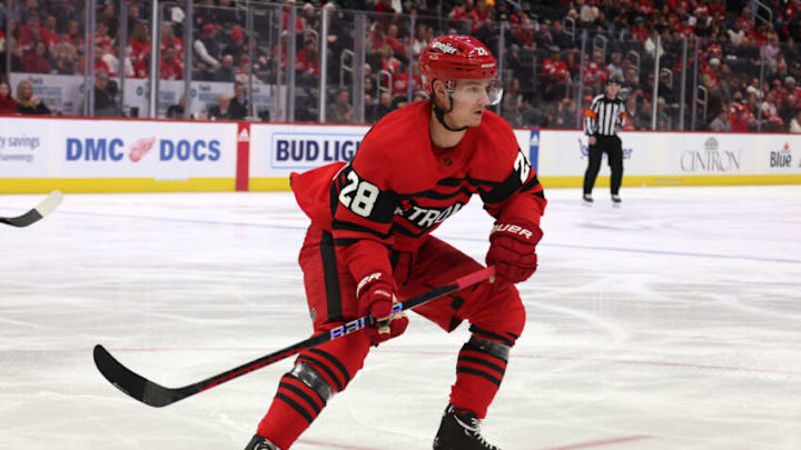 Detroit Red Wings, Gustav Lindstrom #28. (Photo by Gregory Shamus/Getty Images)