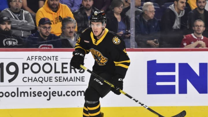 LAVAL, QC - OCTOBER 16: Ryan Fitzgerald #19 of the Providence Bruins skates against the Laval Rocket at Place Bell on October 16, 2019 in Laval, Canada. The Laval Rocket defeated the Providence Bruins 5-4 in a shoot-out. (Photo by Minas Panagiotakis/Getty Images)