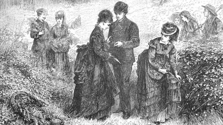 An illustration for The Illustrated London News, July 1871.