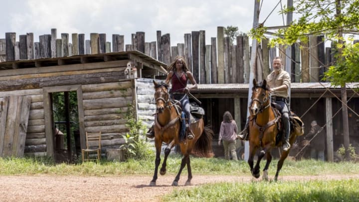 Andrew Lincoln as Rick Grimes, Danai Gurira as Michonne- The Walking Dead _ Season 9, Episode 1 - Photo Credit: Jackson Lee Davis/AMC