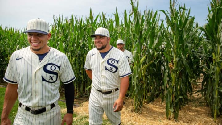 White Sox players at the Field of Dreams site. (Syndication: The Des Moines Register)
