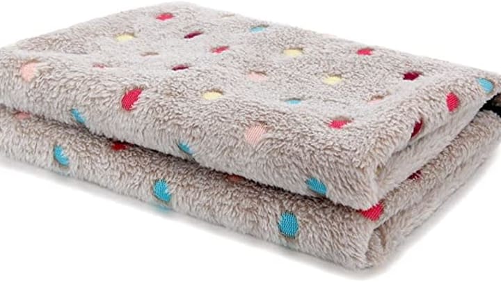 The PAWZ Road Dog Blanket Soft Fleece Pet Blanket – Amazon.com