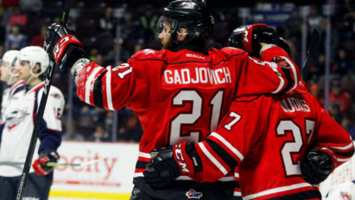 WINDSOR, ON – NOVEMBER 16: Forward Jonah Gadjovich