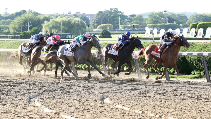 153rd Belmont Stakes horse odds along with jockeys and trainers.