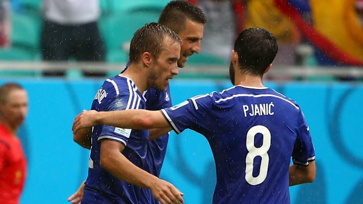 Bosnia-Herzegovina v Iran: Group F - 2014 FIFA World Cup Brazil