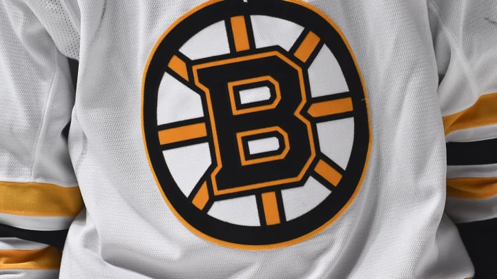 Boston Bruins logo