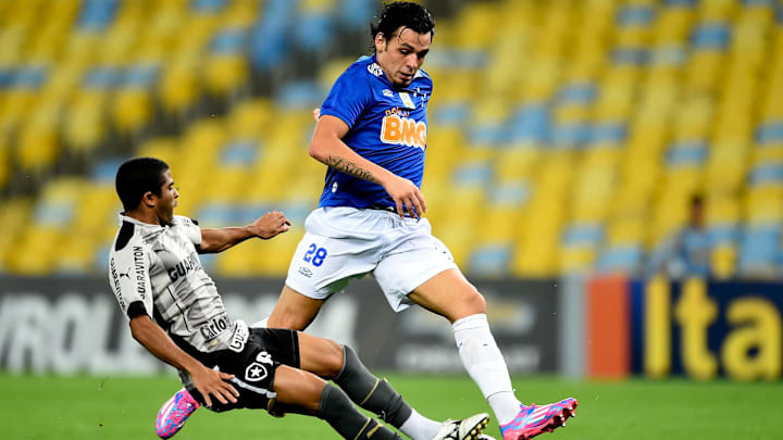 Botafogo v Cruzeiro - Brasileirao Series A 2014