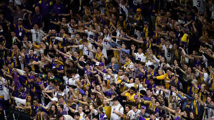 LSU crowd