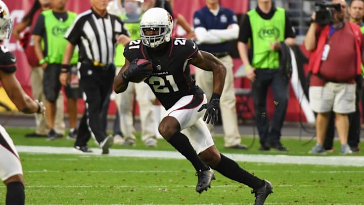 Detroit Lions v Arizona Cardinals